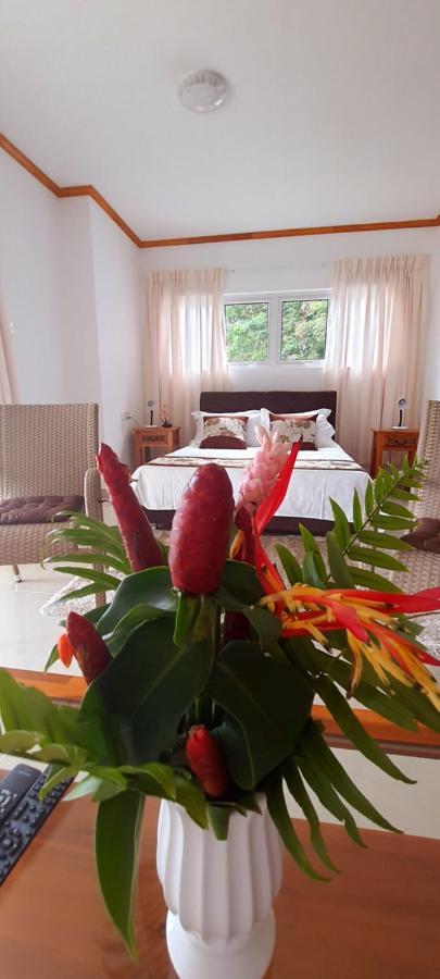 Le Chant De Merle Self -Catering Studios And Apartments Mahe Island Dış mekan fotoğraf