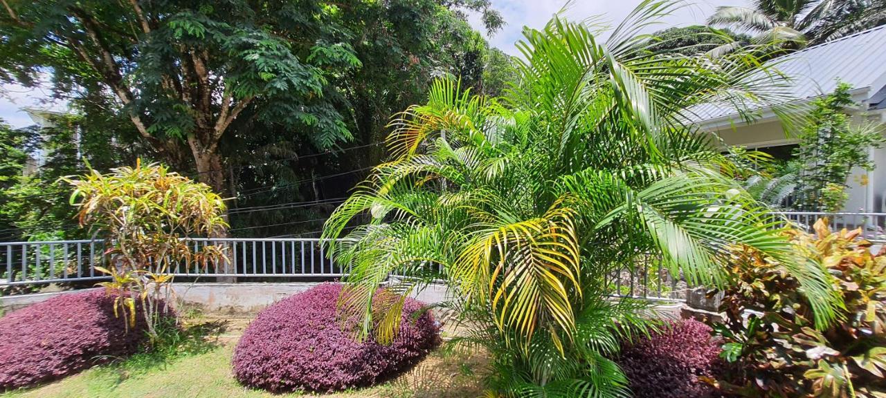 Le Chant De Merle Self -Catering Studios And Apartments Mahe Island Dış mekan fotoğraf